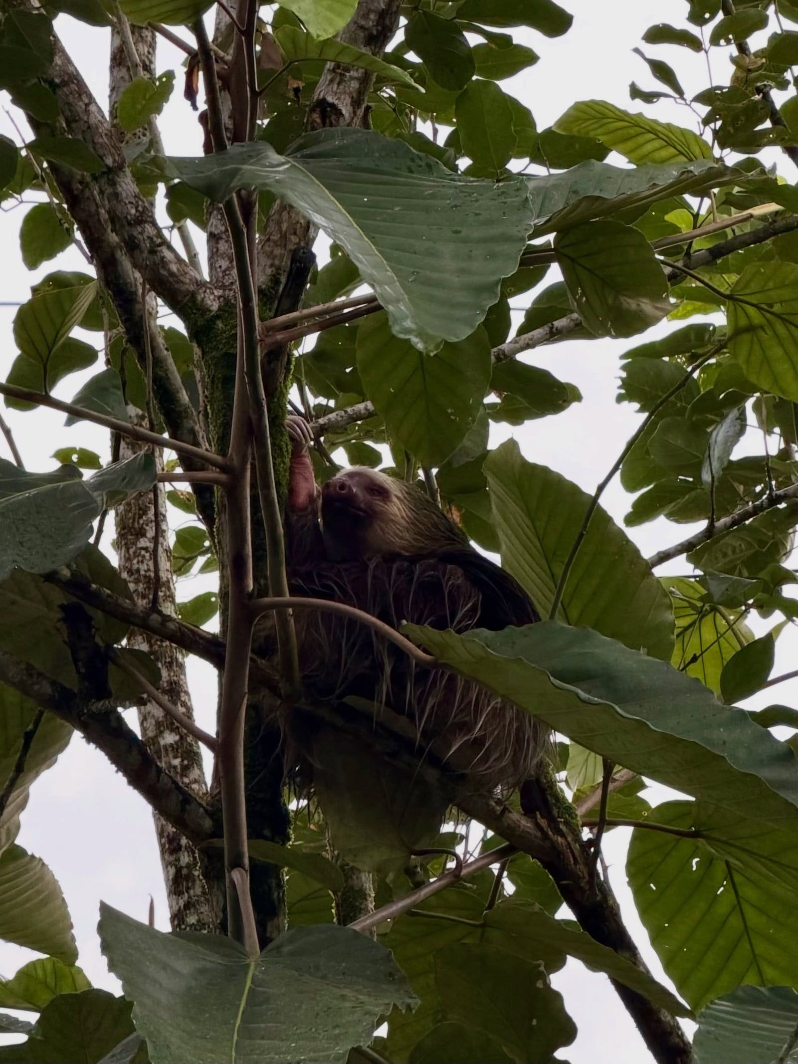 Photo d'un visiteur de la visite de La Fortuna